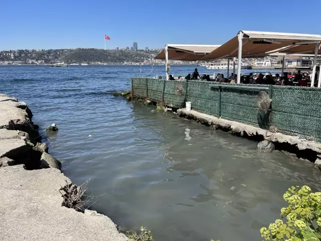 Bekar Deresi, kokan, kirli sularıyla Boğaz'ı kirletmeye devam ediyor