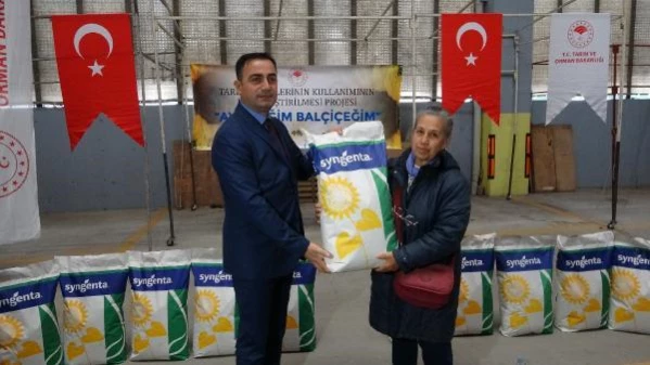 ÇANAKKALE'DE ÜRETİCİLERE YÜZDE 50 DEVLET KATKILI AYÇİÇEĞİ TOHUMU