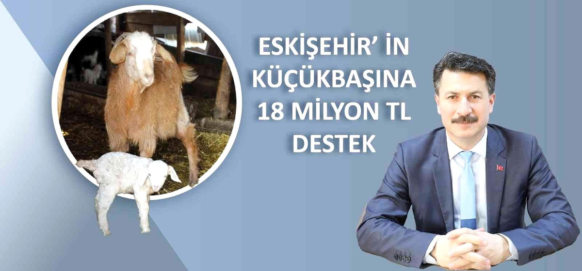 Küçükbaş hayvancılığa 18 milyon lira destek