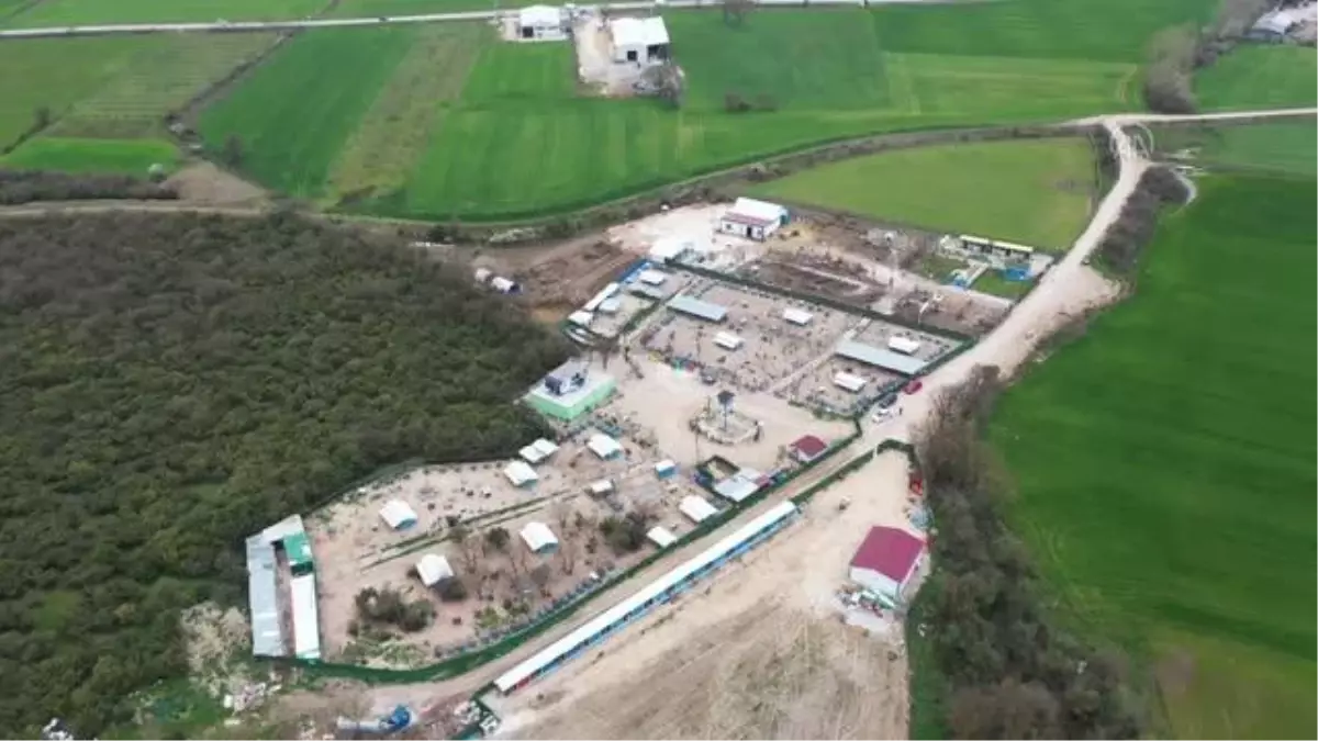 Kurduğu çiftlikte hayatını terk edilmiş hayvanlara adadı