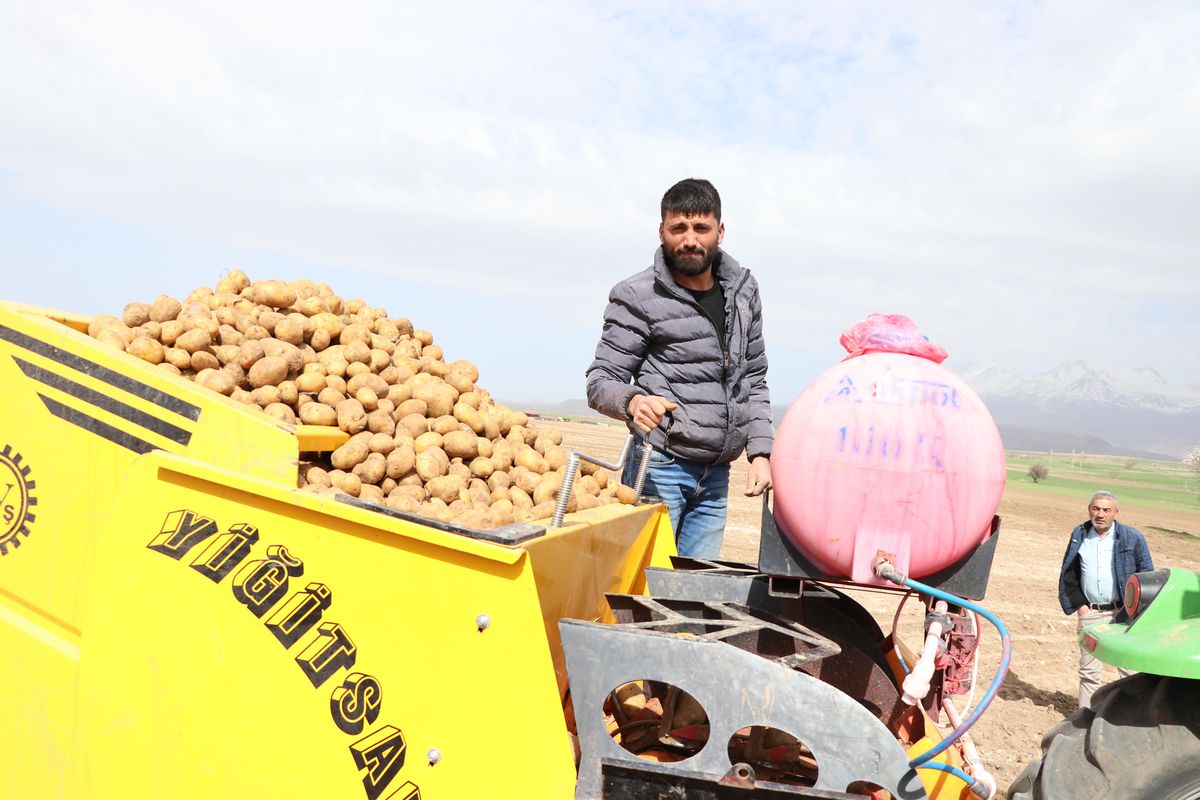 Erkenci patates ekimi devam ediyor