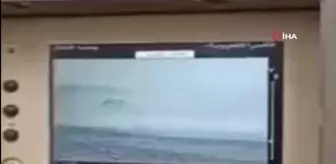 Ukrayna ordusu, Rus tankını imha etti