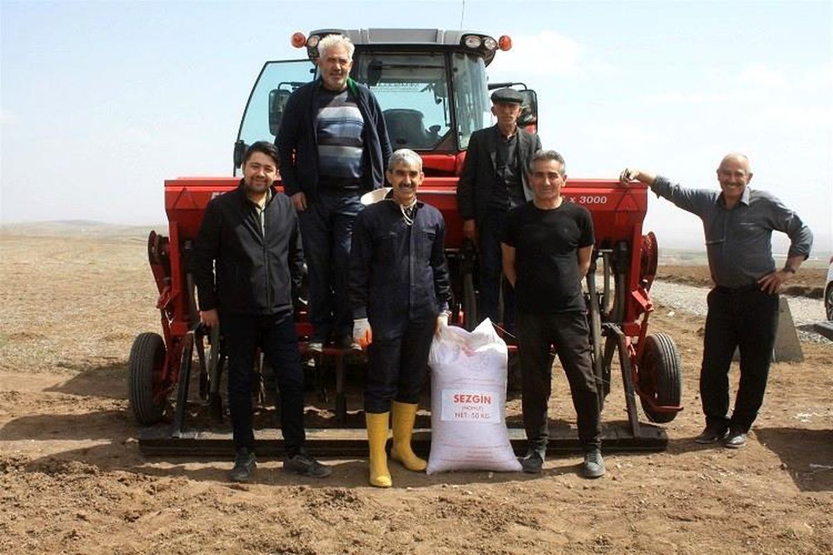 Yozgat\'ta 7 çeşit nohut toprakla buluştu