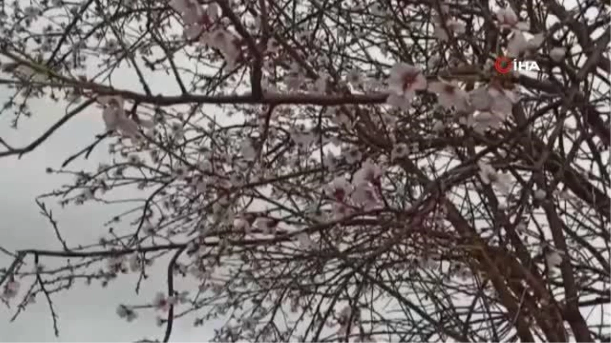 Afyonkarahisar\'da yüksek kesimlere kar yağdı