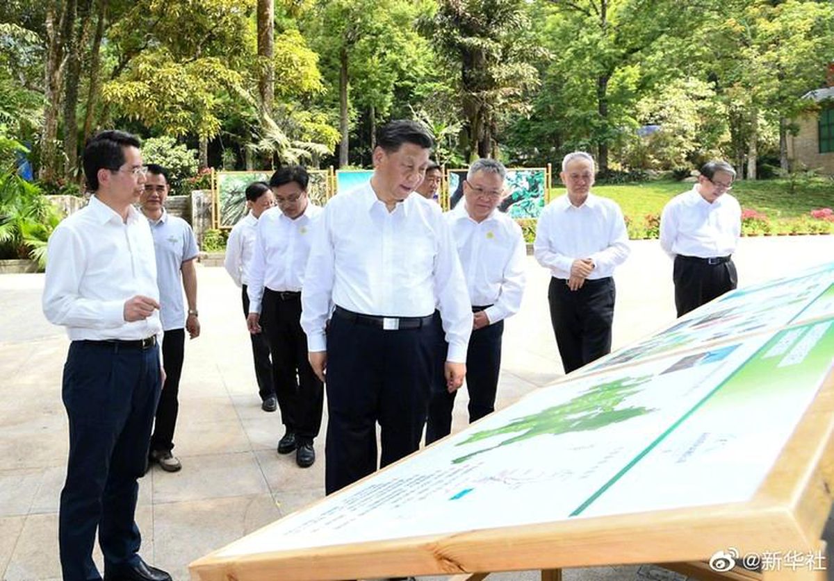 Çin Devlet Başkanı Jinping, Hainan Tropikal Yağmur Ormanları Ulusal Parkı\'nı ziyaret etti
