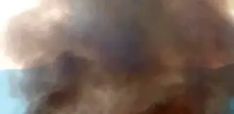Son dakika haberleri: Ermenistan'da domuzları kaçırmak için yakılan ateşten çıkan orman yangını söndürüldü