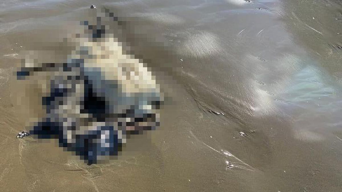 Erzin sahilinde dehşet uyandıran görüntü: Başsız ceset çürümüş halde kıyıya vurdu