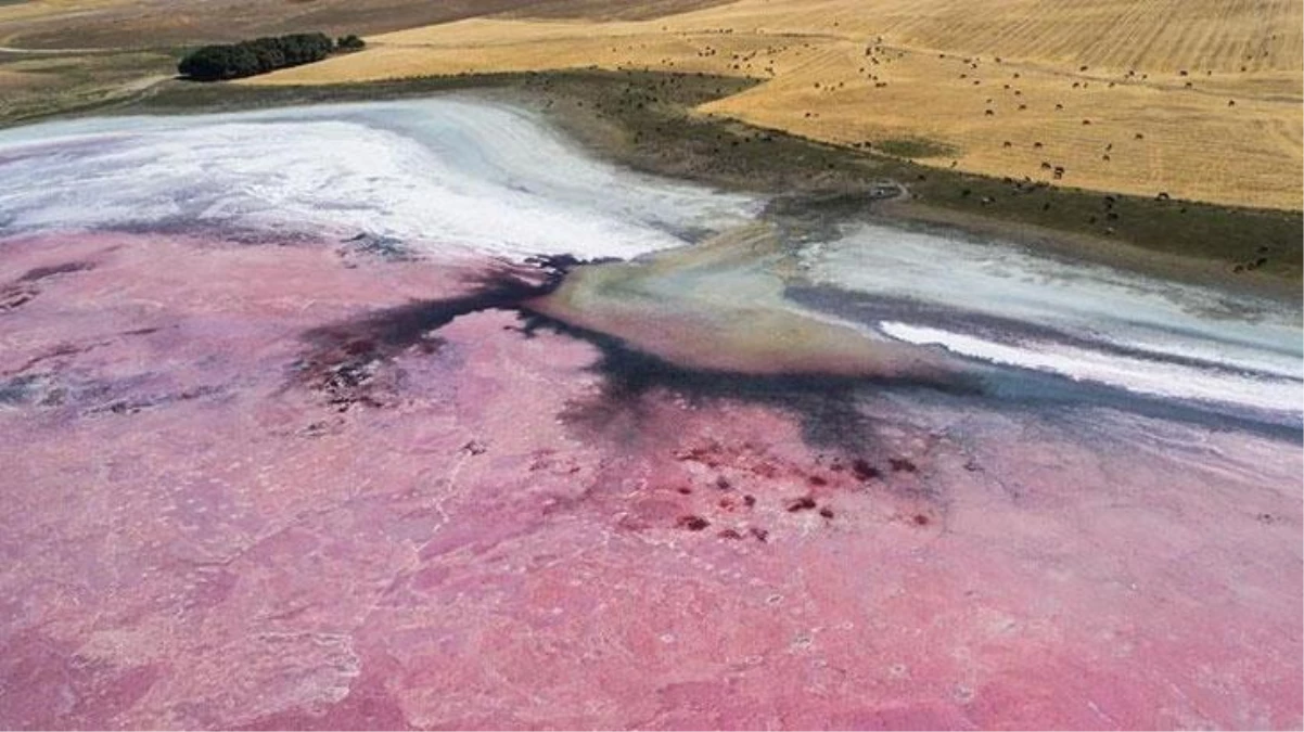 Tedirgin eden görüntü! Her yıl pembe olan Küçük Göl bu yıl kahverengi oldu