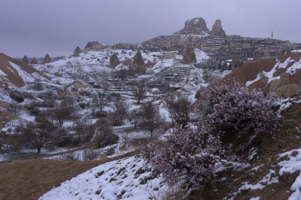 Kapadokya\'da çiçekler kar altında kaldı