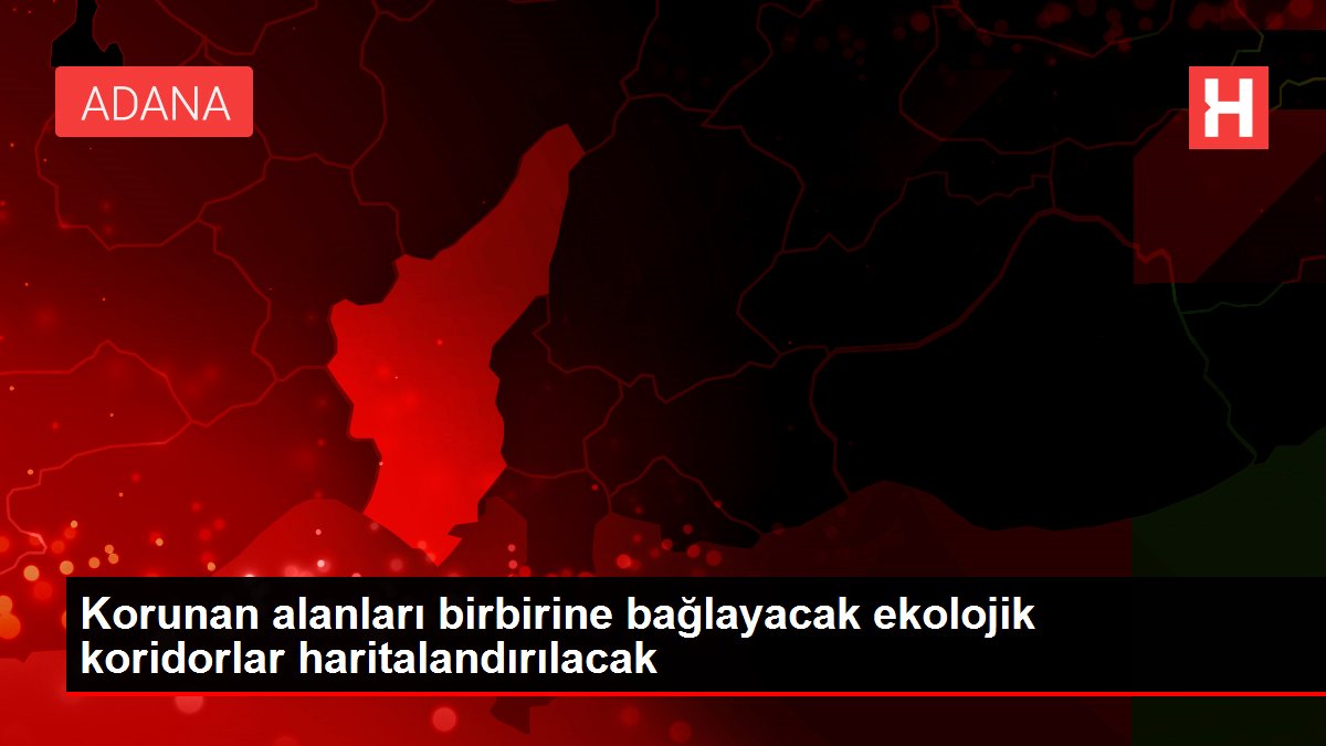 Korunan alanları birbirine bağlayacak ekolojik koridorlar haritalandırılacak