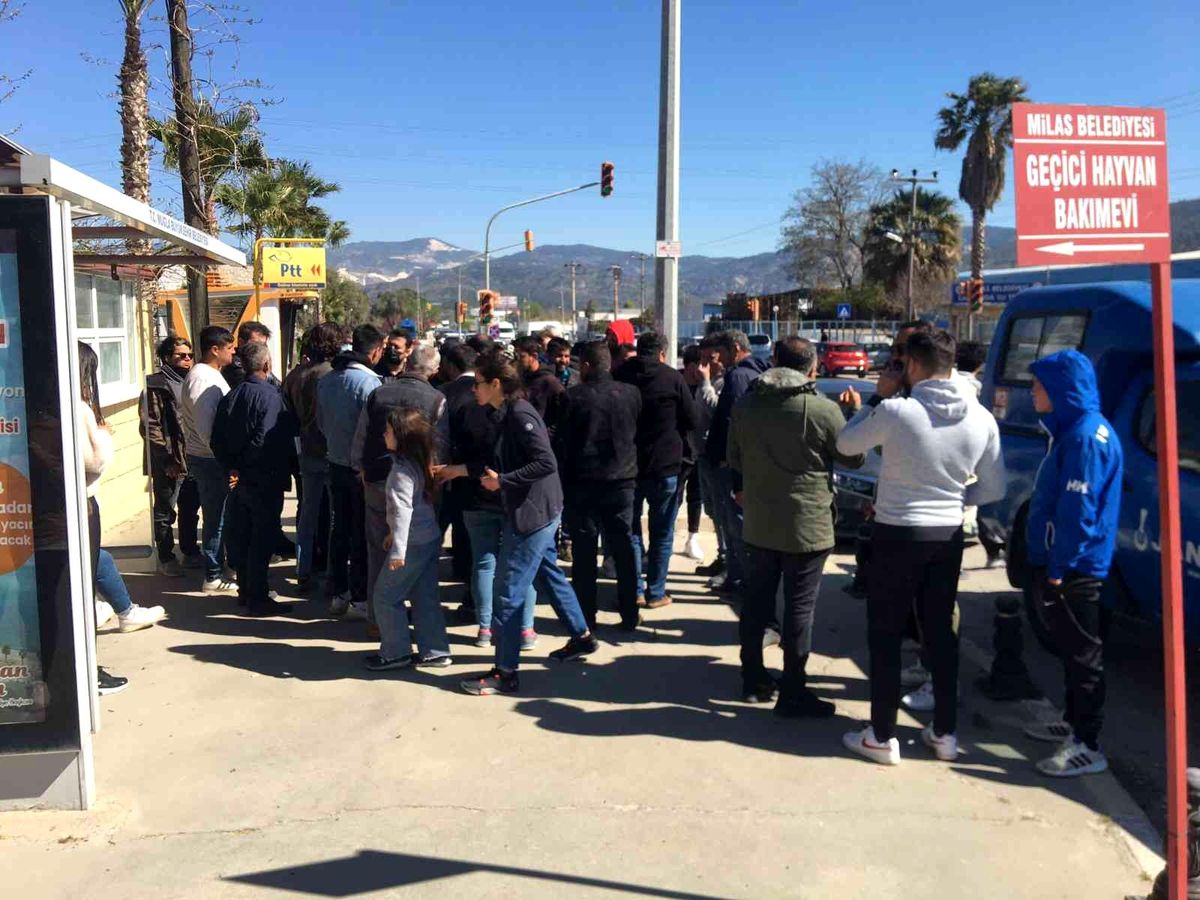 Milas\'ta telefon dolandırıcılığı