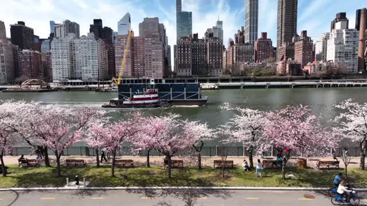 New York\'ta ilkbahar