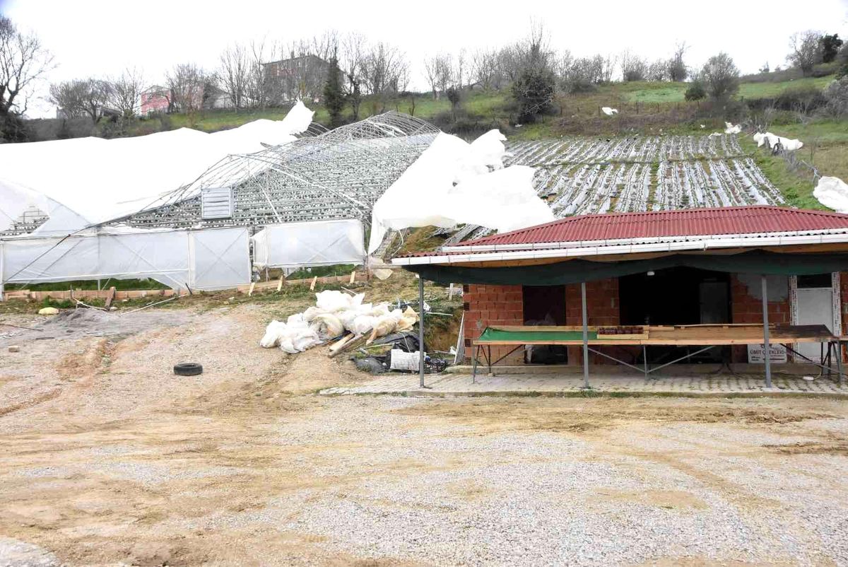 Sinop\'ta şiddetli fırtınada çilek serası yıkıldı