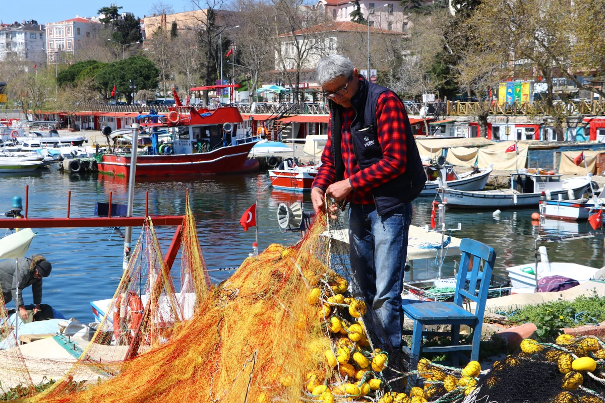 Tekirdağ\'daki küçük tekne balıkçılarının "karides" mesaisi sürüyor