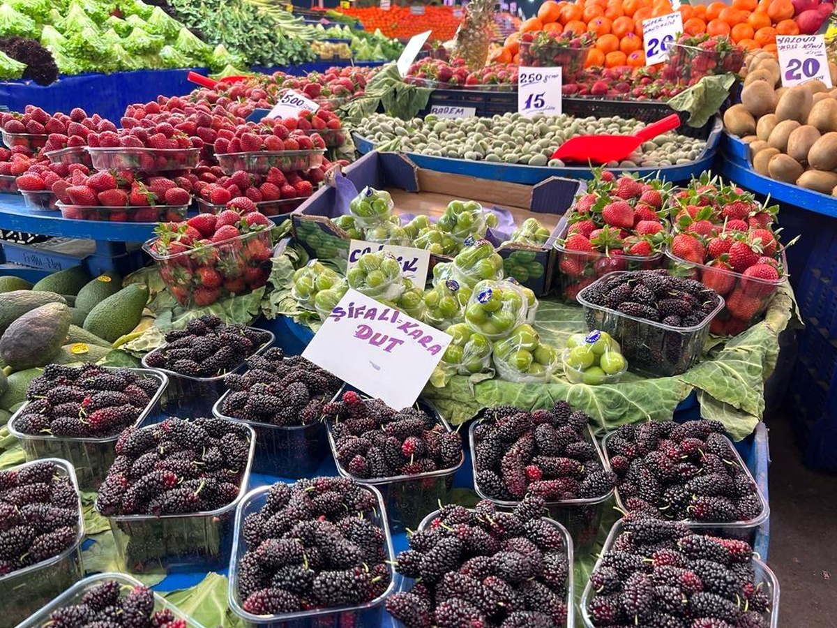 Yaz meyvelerinde bolluk ve ucuzluk bekleniyor