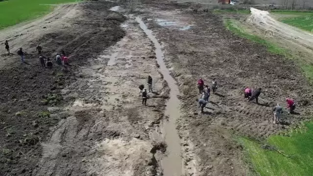 Asfalt şantiyesinden tarlalara akan zifti temizleme çalışması yarın tamamlanacak