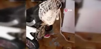 Avşa'da yazlıklara dadanan şahıslar girdikleri evleri talan etti