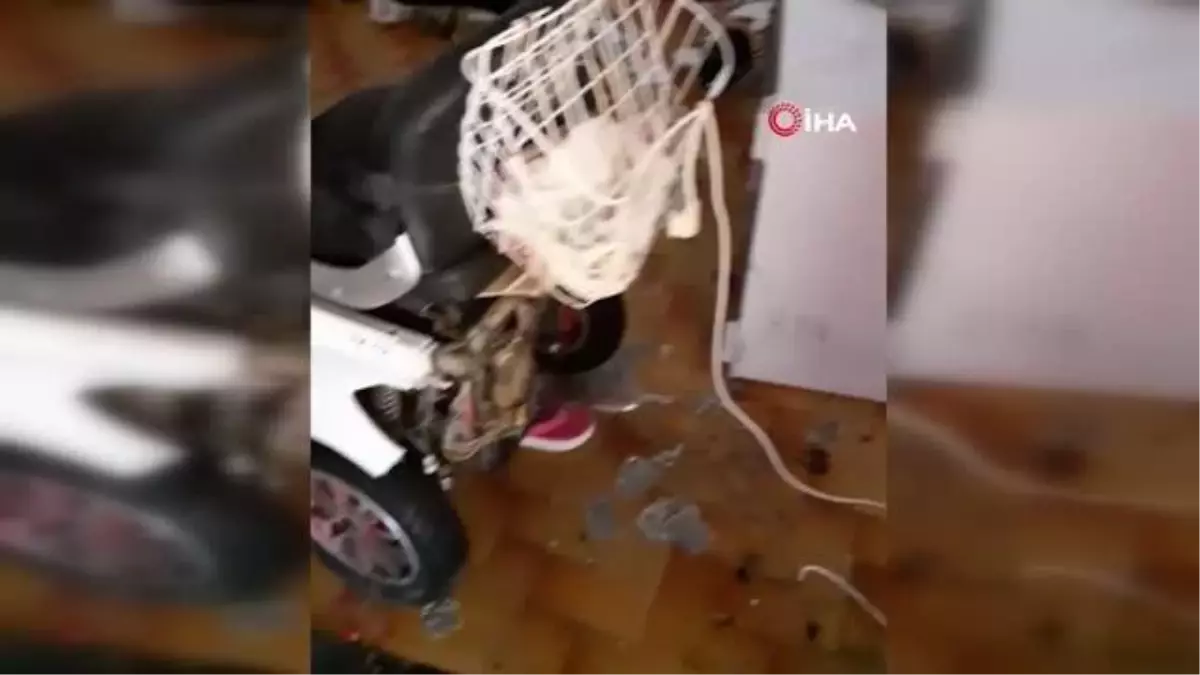 Avşa'da yazlıklara dadanan şahıslar girdikleri evleri talan etti