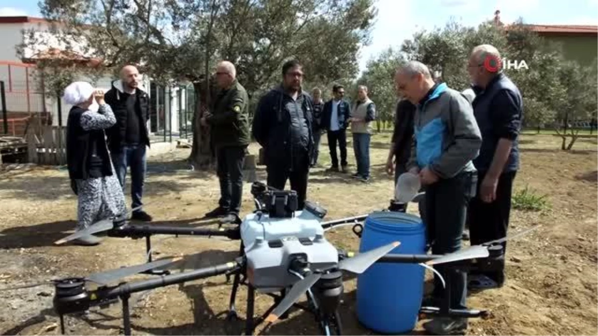 Balıkesir\'de zeytin ilaçlamasında dron kullanılmaya başlandı