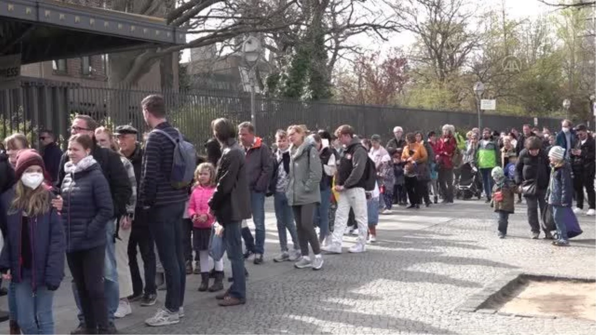 Berlinli goril Fatou 65. yaş günün kutladı