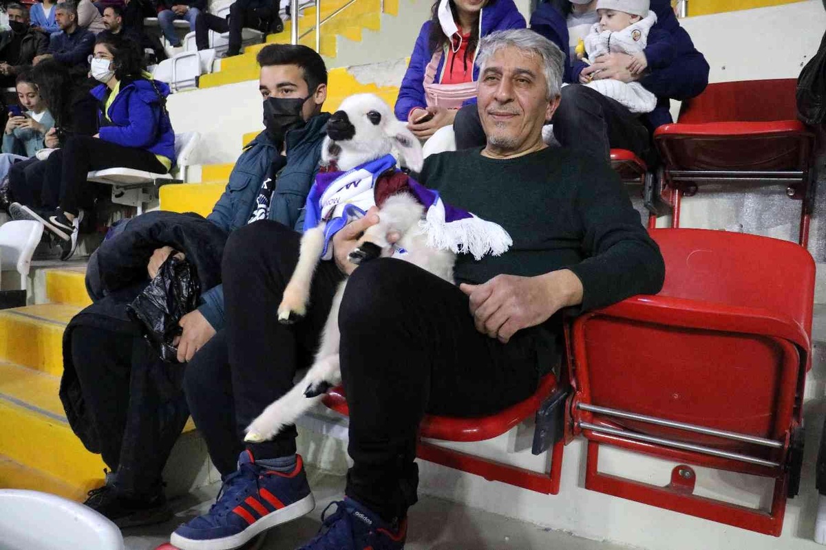 Final maçını kuzusuyla birlikte izledi