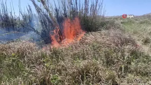 Son dakika haberi! Sazlık alanda yangın