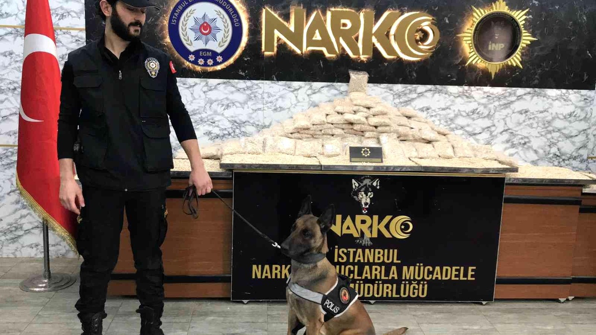 İstanbul\'da yüzbinlerce uyuşturucu hap ele geçirildi