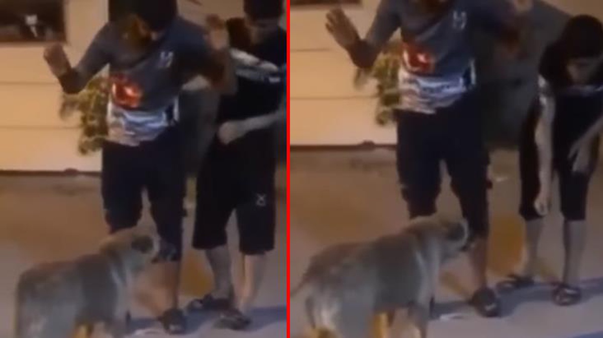 Kendilerine saldıran köpek yüzünden birden türkü söylemeye başlayan gençler büyük ilgi gördü