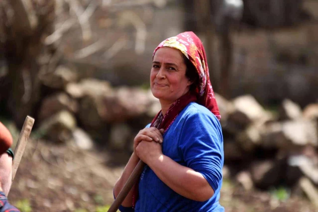 Şartlar zor olsa da onlar çalışmadan duramıyor: Karadenizli köylü kadınların hayatlarının çoğu tarlada geçiyor