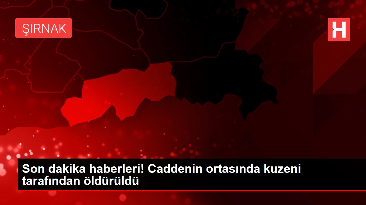 Son dakika haberleri! Caddenin ortasında kuzeni tarafından öldürüldü