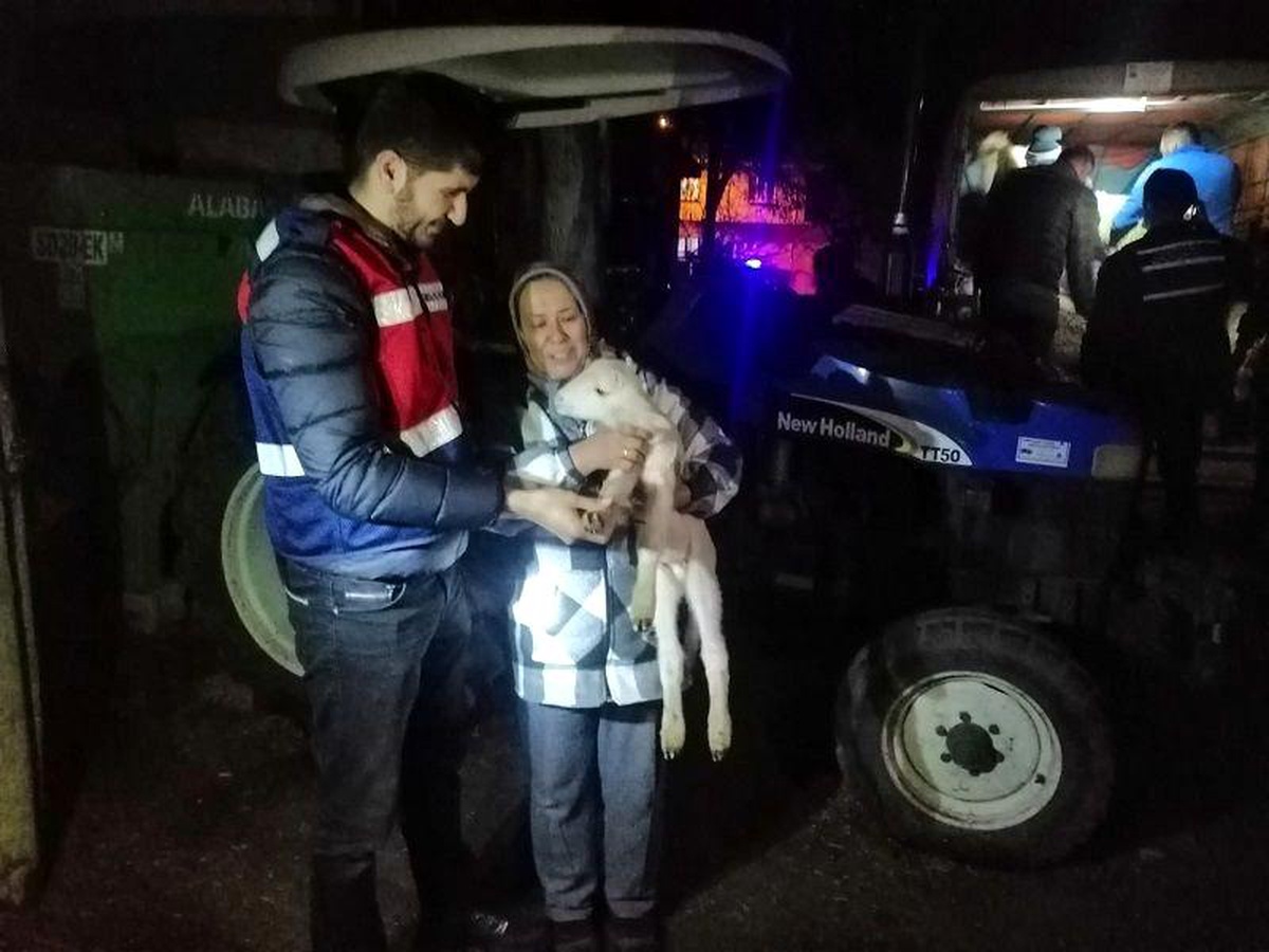 Balya\'dan çalınan koyunlar Kepsut\'ta ele geçirildi