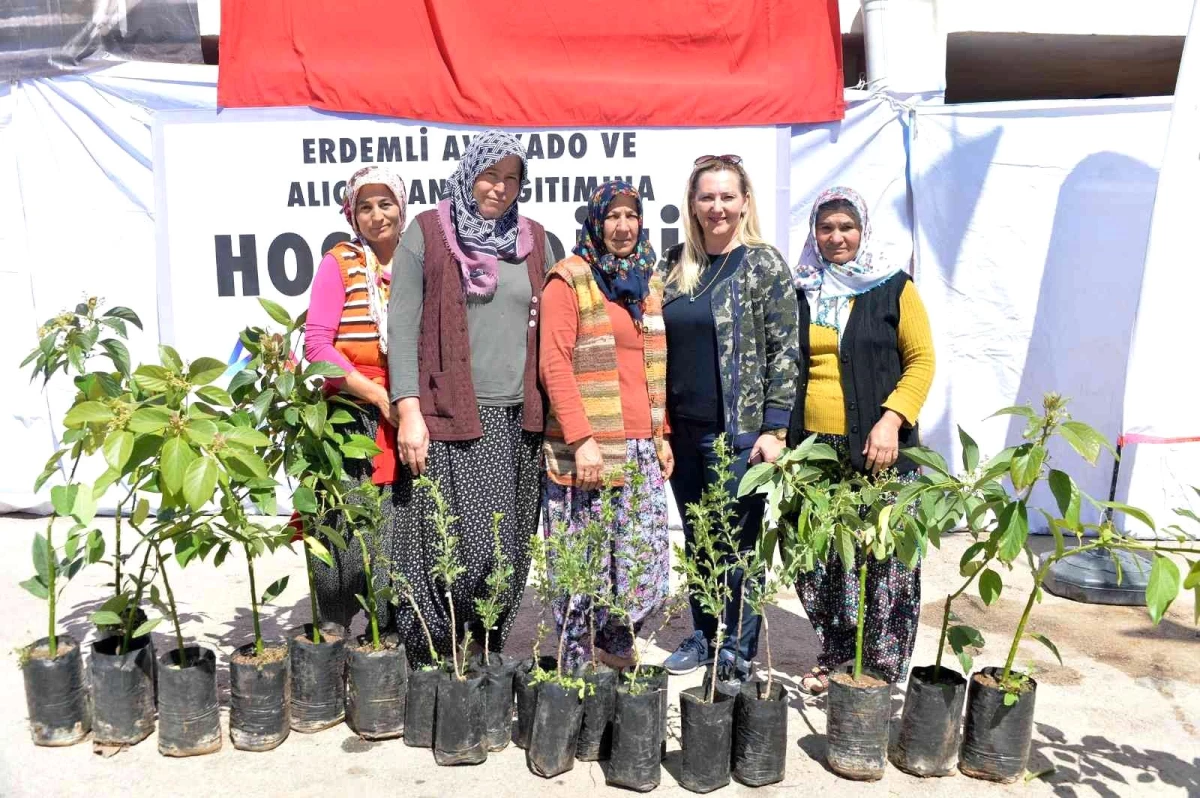 Büyükşehir Belediyesinden Erdemlili üreticilere avokado ve alıç fidanı