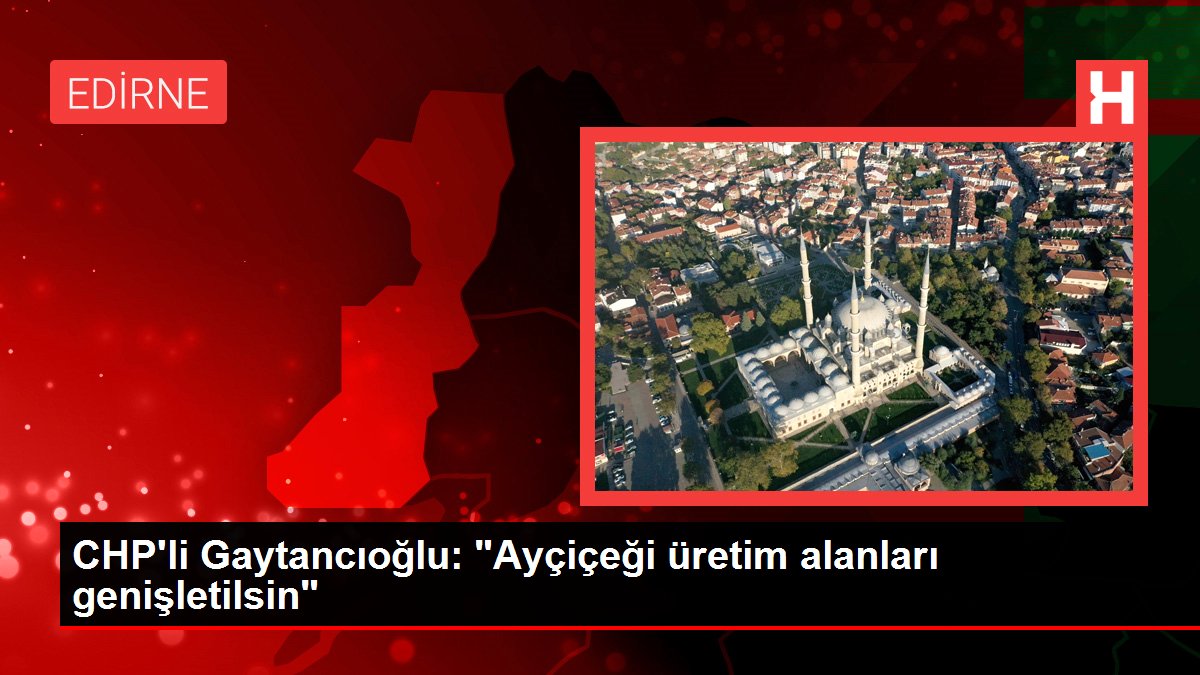 CHP'li Gaytancıoğlu: 'Ayçiçeği üretim alanları genişletilsin'