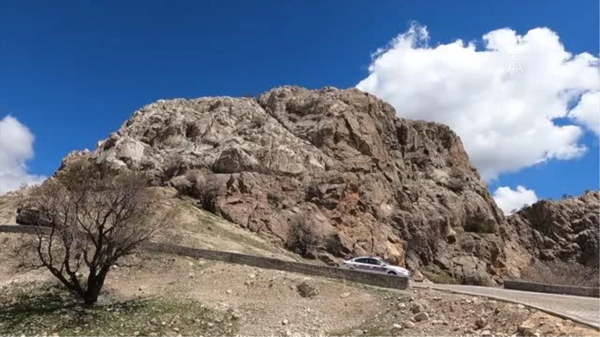 DİYARBAKIR - "Makam Çiçeği" ve "Ters Lale" için özel koruma timi