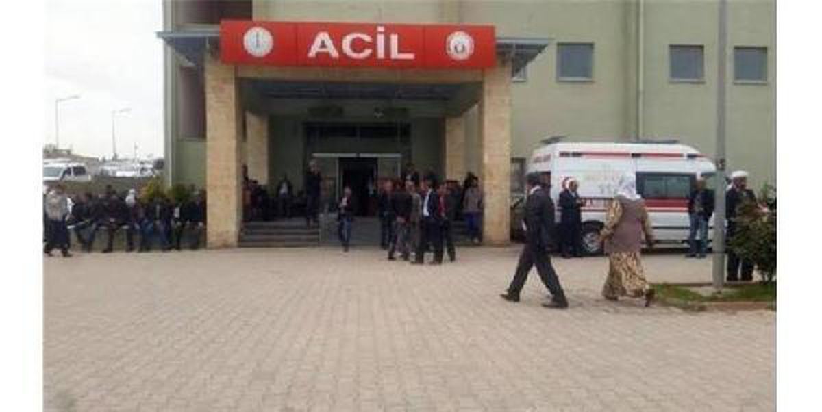 İdil\'de çobanların arazide bulduğu cisim patladı: 2 kardeş yaralı