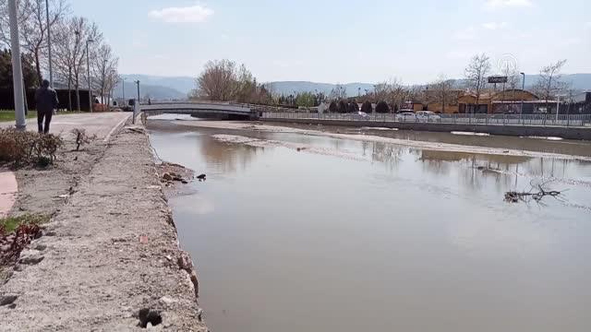 Kumsala sürüklenen hayvan gübresi kirliliğe neden oldu