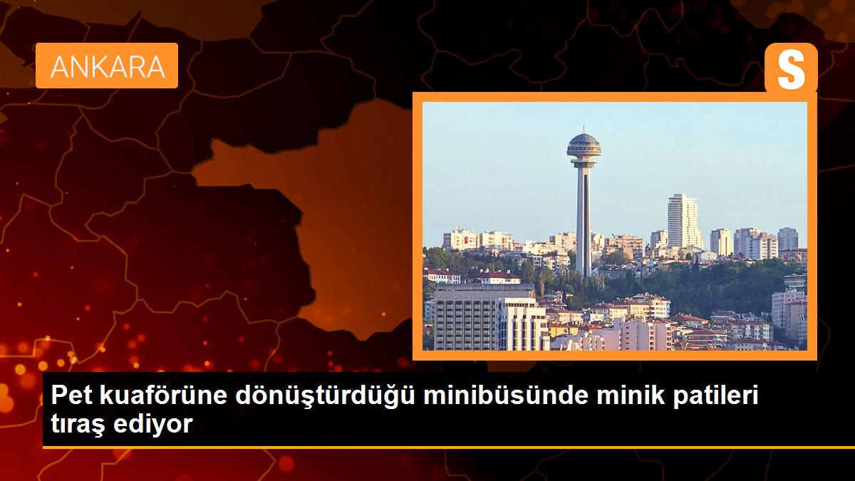 Pet kuaförüne dönüştürdüğü minibüsünde minik patileri tıraş ediyor