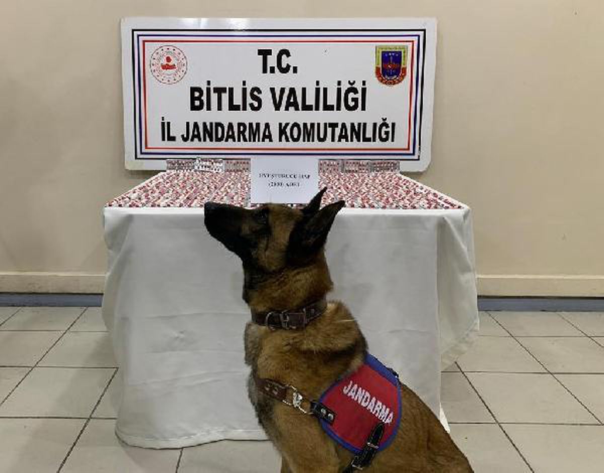Yolcu otobüsündeki uyuşturucuyu narkotik köpeği \'Yakar\' buldu