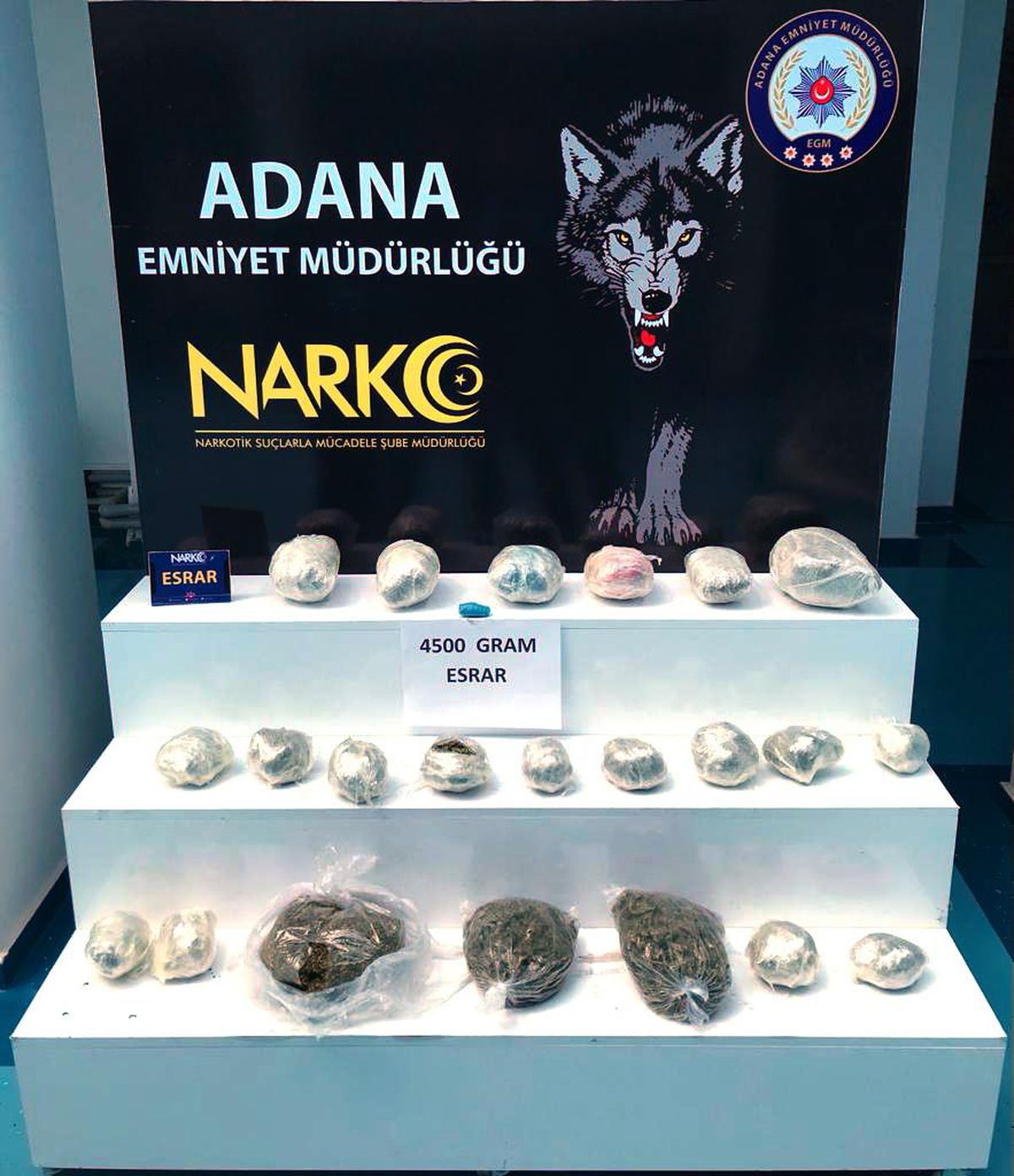 Adana\'da evinde uyuşturucu bulunan zanlı tutuklandı