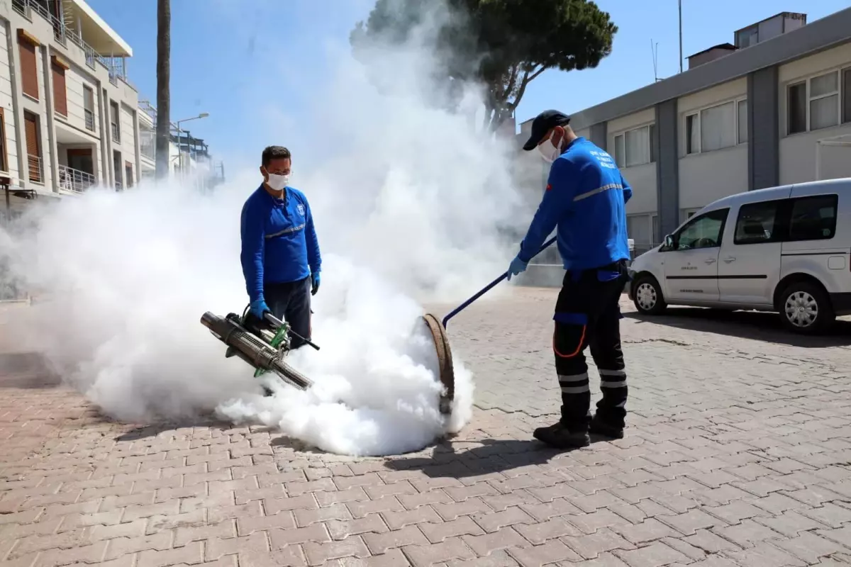 Didim Belediyesi ilaçlama çalışmalarına başladı