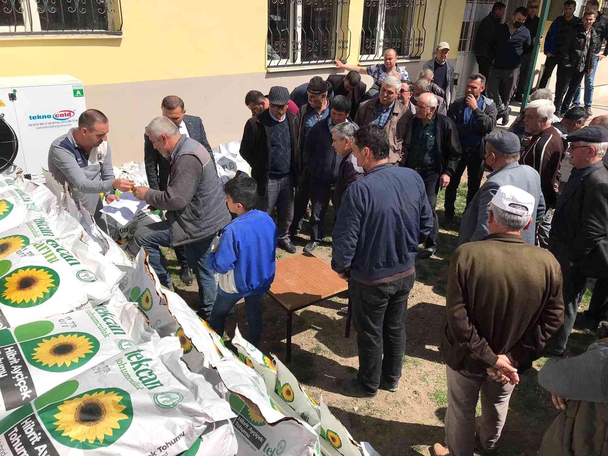 Dinar\'da 113 çiftçiye yağlık ayçiçeği tohumu dağıtıldı