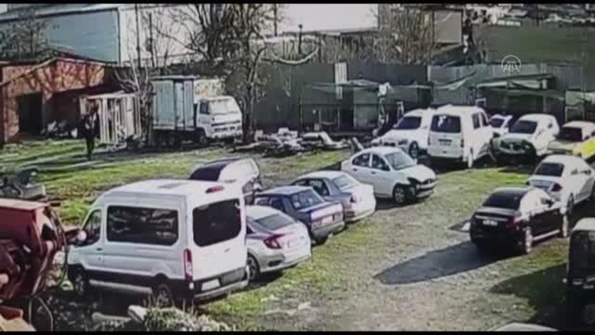 Köpeğe sopayla vuran kişiye para cezası