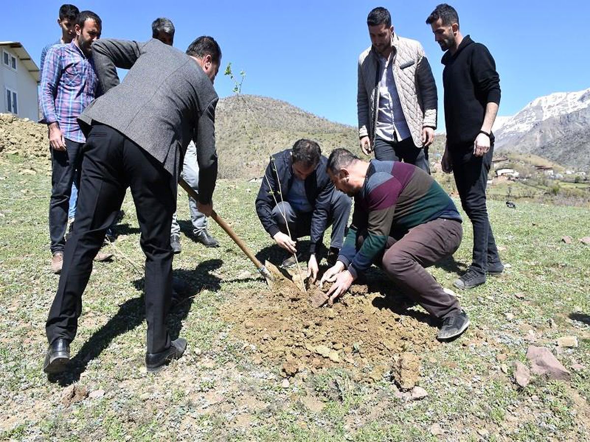 Sason'da ipek böcekçiliği geliştirme projesi dahilinde dut fidanı dikildi
