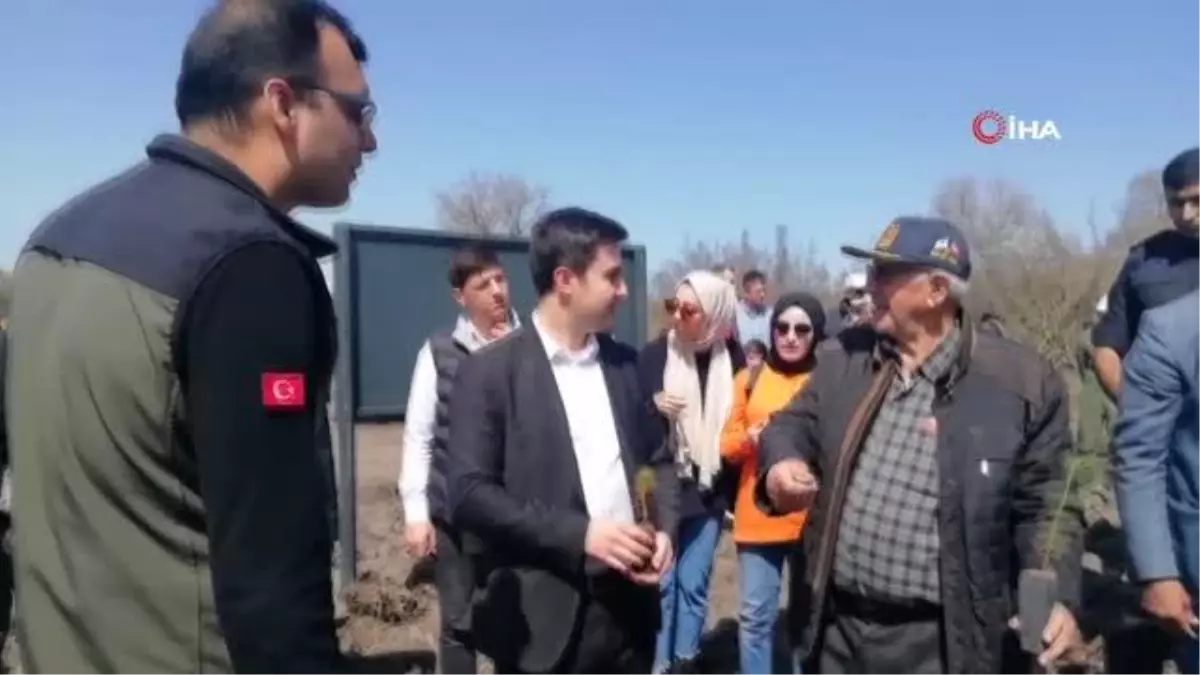 Şehit ve Gaziler için fidan dikildi