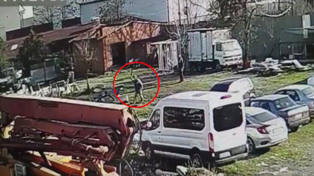 Tavukları kovalayan köpeği sopayla dövdüler, 2 bin lira ile kurtuldular!