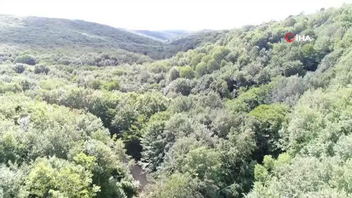 Tekirdağ'a bu yaz, İstanbul'dan 3 milyon turist bekleniyor