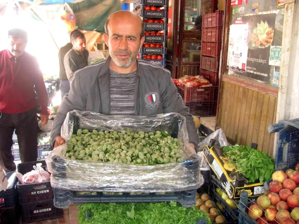 Yılın ilk yerli badem çağlası 25 liradan satışa sunuldu