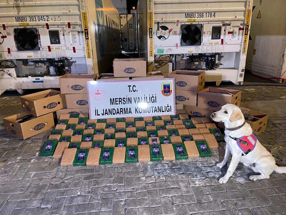 Bakan Soylu, Mersin Limanı\'nda 258 kilogram kokain yakalandığını bildirdi