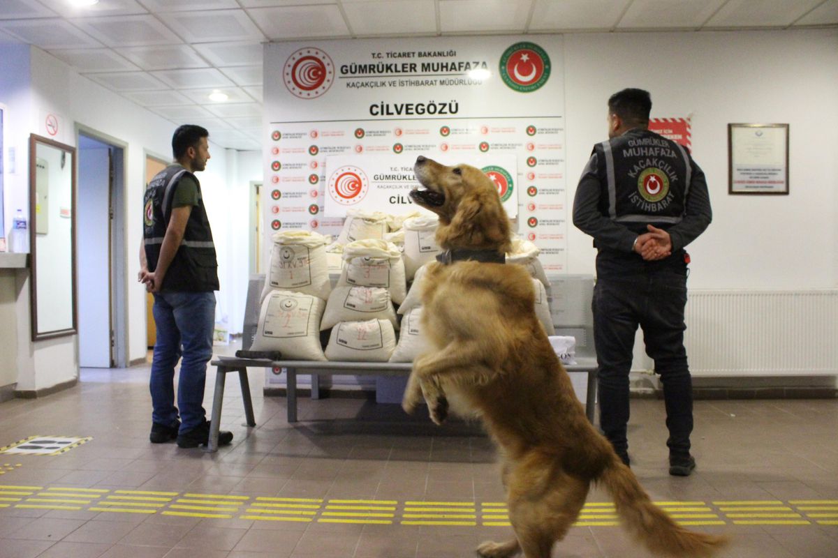 Son dakika haberleri | Cilvegözü\'ndeki uyuşturucu operasyonunda yakalanan 8 şüpheliden ikisi tutuklandı