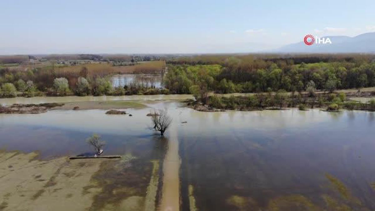 Efteni Gölü karların erimesiyle birlikte taştı, park ve tarım arazileri sular altında kaldı